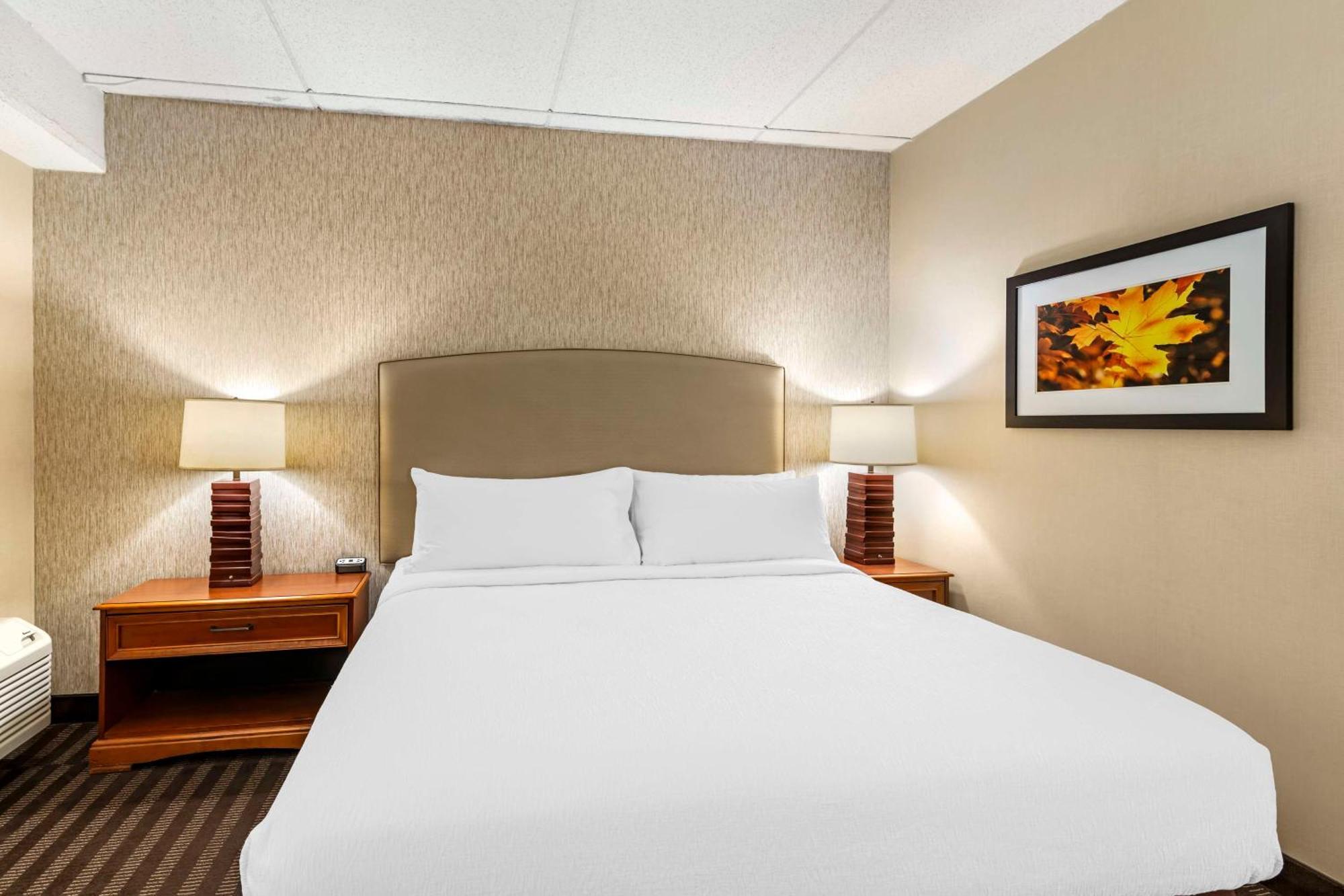 Best Western Springfield Hotel Eksteriør billede